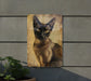 a picture of a cat is hanging on a wall