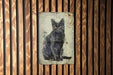 a black cat sitting on top of a wooden wall
