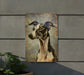 a picture of a dog is hanging on a wall