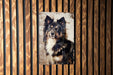 a picture of a dog hanging on a wooden wall
