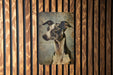 a picture of a dog hanging on a wooden wall