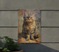 a picture of a cat is hanging on a wall