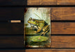 a frog sitting on top of a wooden bench