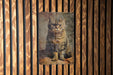a picture of a cat on a wooden wall