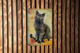 a picture of a cat on a wooden wall
