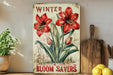 a sign that says winter bloom savers on a shelf