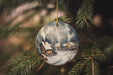 a christmas ornament hanging from a christmas tree