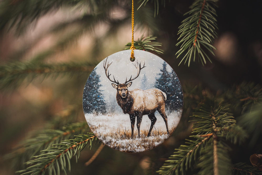 a christmas ornament hanging from a tree