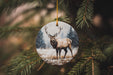 a christmas ornament hanging from a tree