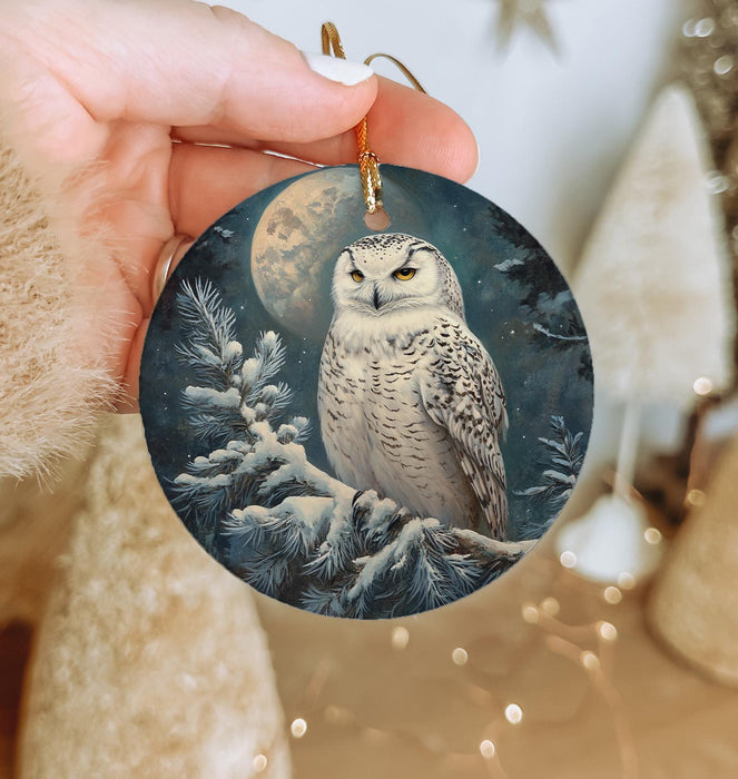 a person holding a christmas ornament with an owl on it