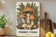 a picture of some mushrooms on a shelf