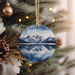 a christmas ornament hanging from a christmas tree