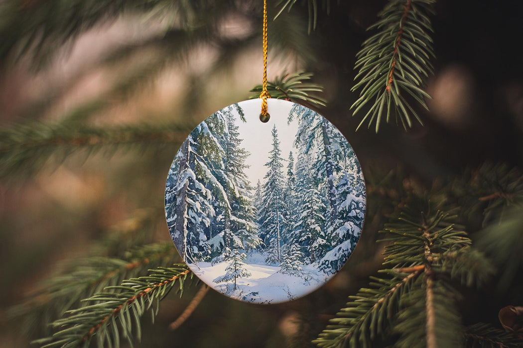 a christmas ornament hanging from a tree