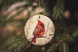 a christmas ornament hanging from a tree