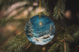 a glass ornament hanging from a christmas tree