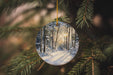 a christmas ornament hanging from a tree