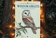 a picture of an owl sitting on a tree branch