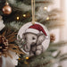 a christmas ornament hanging from a christmas tree