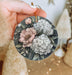 a person holding a flower ornament in their hand
