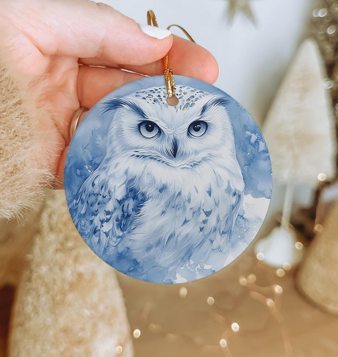 a hand holding an ornament with a picture of an owl on it