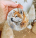 a hand holding a christmas ornament with a picture of a dog