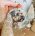 a hand holding a christmas ornament with a picture of a dog