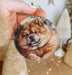 a person holding a dog ornament in their hand