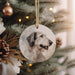 a picture of a dog hanging on a christmas tree