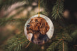 a dog ornament hanging from a christmas tree