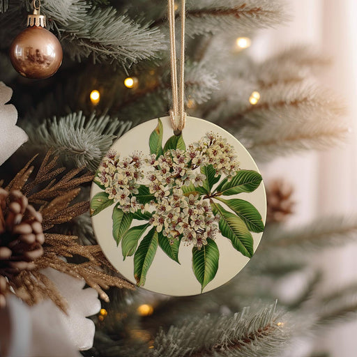 a christmas ornament hanging from a christmas tree