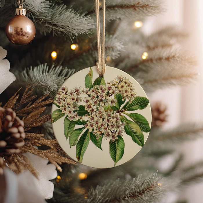 a christmas ornament hanging from a christmas tree