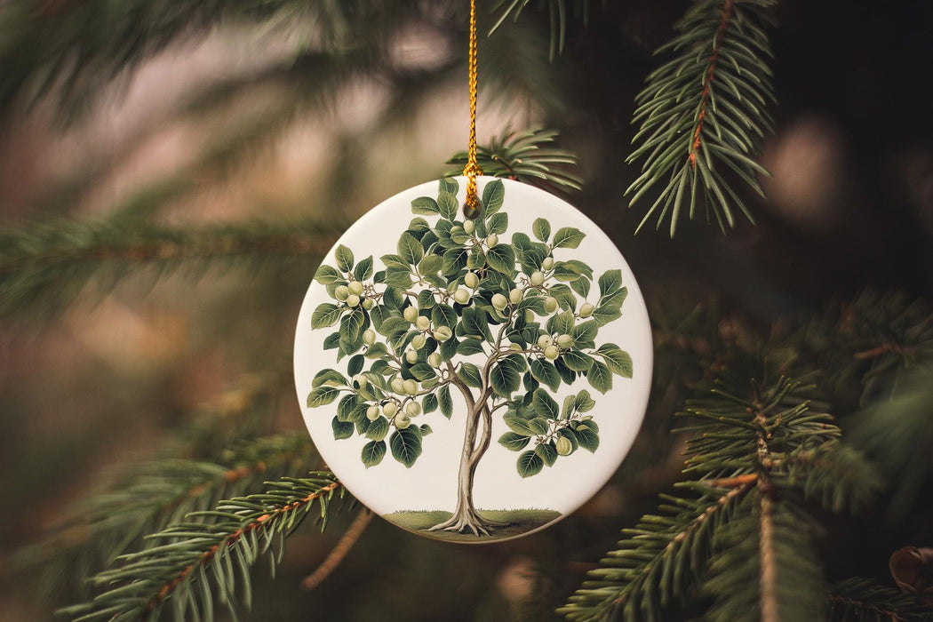 a tree ornament hanging from a christmas tree