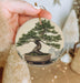a person holding a christmas ornament with a bonsai tree on it