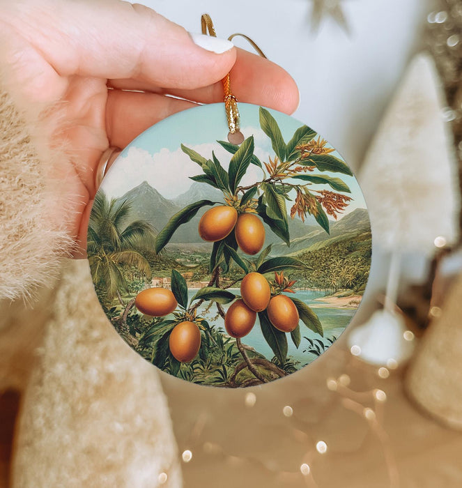 a hand holding a round ornament with a painting of oranges on it