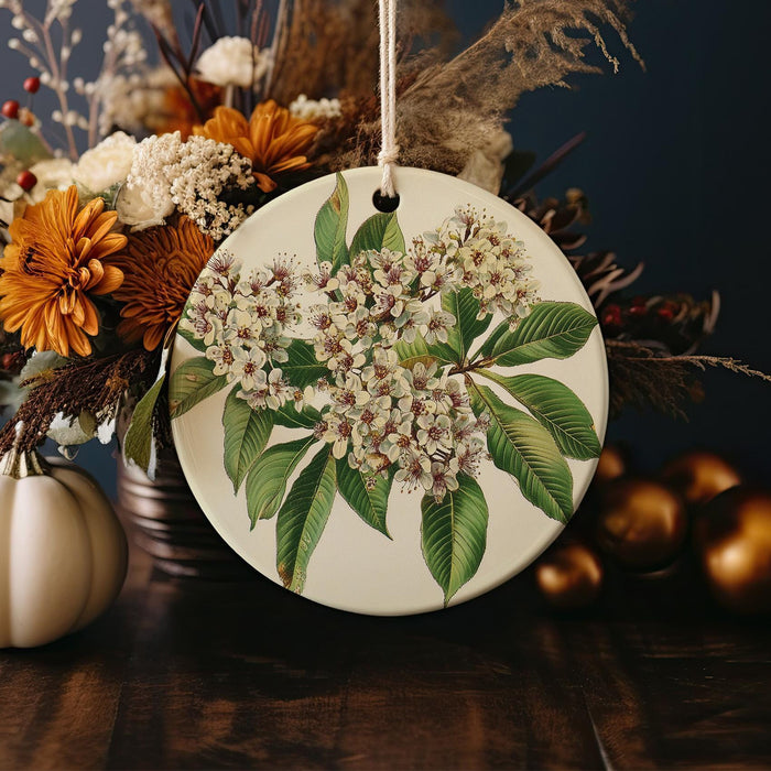 a white plate with a floral design on it