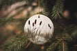 a glass ornament hanging from a tree