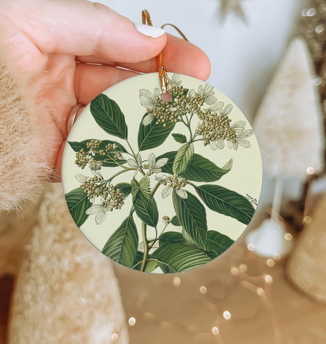 a person holding a christmas ornament with a flower on it
