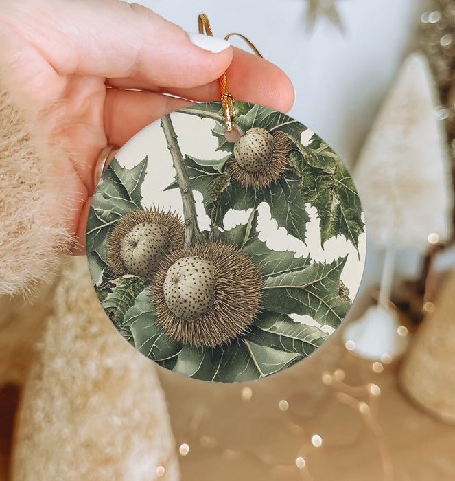a person holding a christmas ornament with a picture of a plant on it