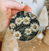 a person holding a small ornament with daisies on it