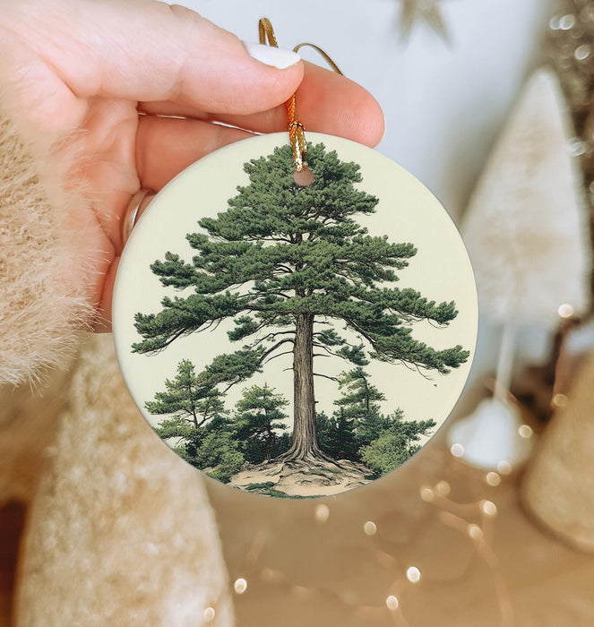 a hand holding a christmas ornament with a picture of a tree
