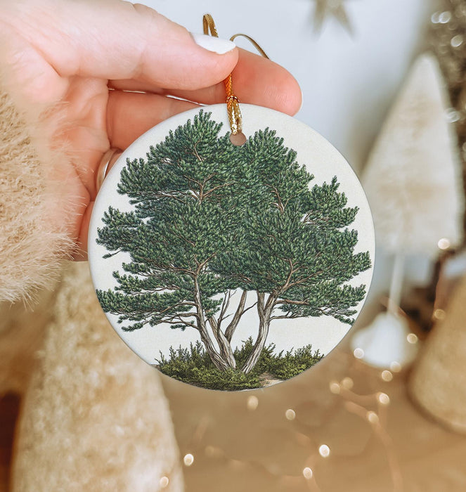 a hand holding a christmas ornament with a tree on it