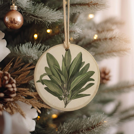 a christmas ornament hanging from a christmas tree
