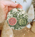 a person holding a watermelon ornament in their hand