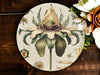 a plate with a painting of a flower on it