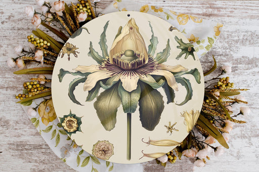 a plate with a painting of a flower on it