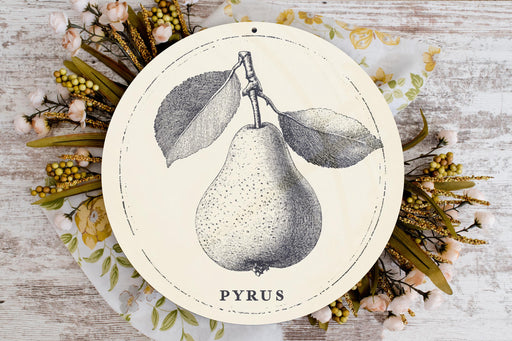a plate with a picture of a pear on it