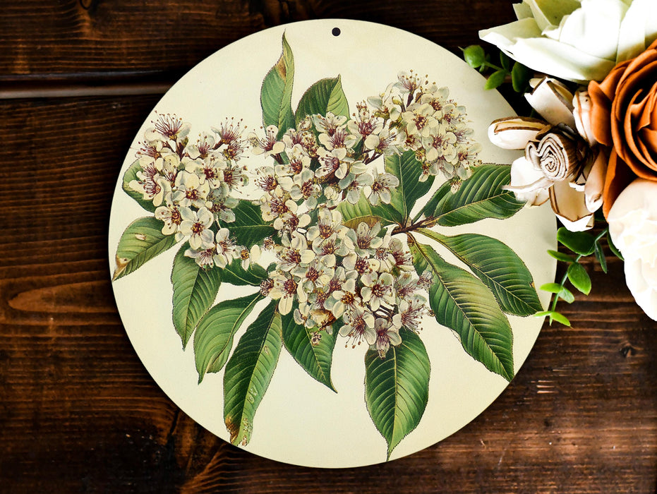 a picture of a bunch of flowers on a plate