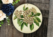 a picture of a bunch of flowers on a plate