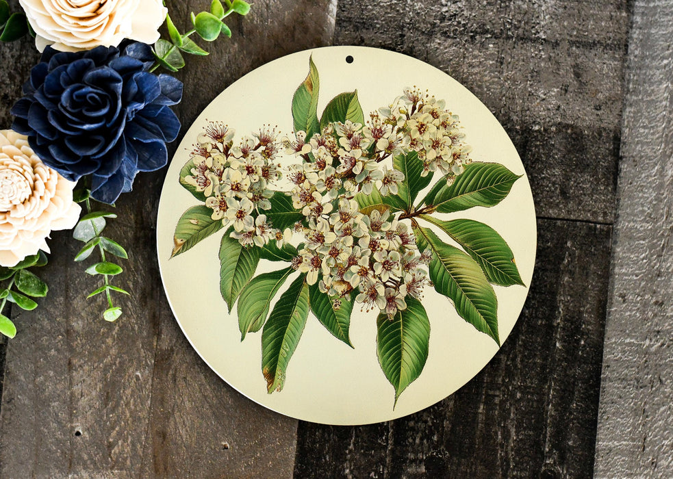 a picture of a bunch of flowers on a plate