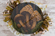 a picture of a group of mushrooms on a plate